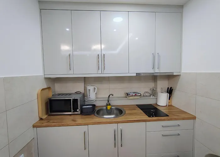 Apartman Vanesa Banja Koviljača