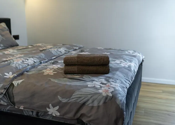 Ferienwohnung Terasa Perfect Loft Kischinau