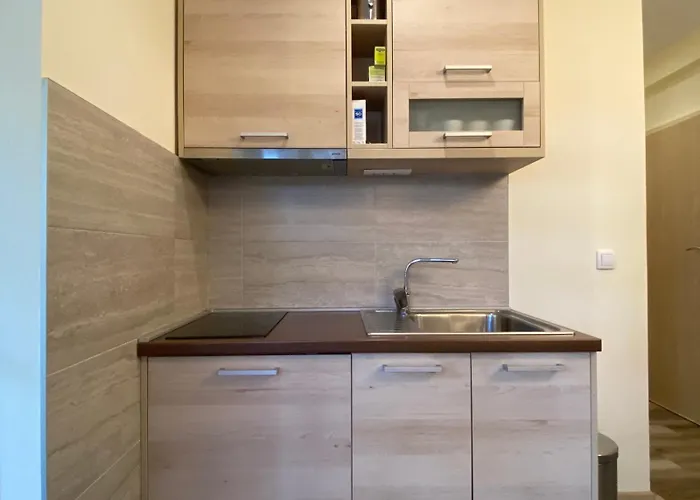 Apartman Zvoncica 29 Kopaonik