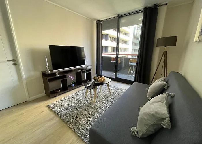 Departamento Comodo En Santiago de Chile