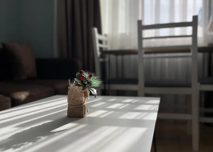 Couple Apartment'S Tirana