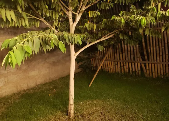 Moivaro Eco Hostel Arusha