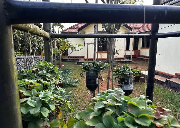 Jo'S Place Entebbe