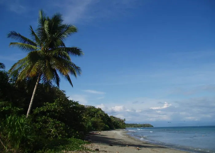 Finca Sombrero Y Camisas Puerto Jiménez