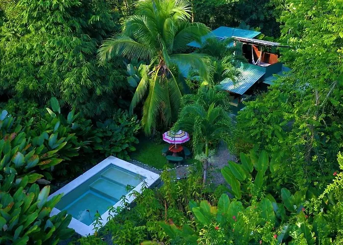 Finca Sombrero Y Camisas Puerto Jiménez