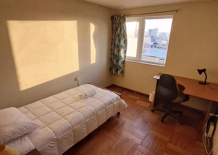 Habitacion En El Centro De Concepción