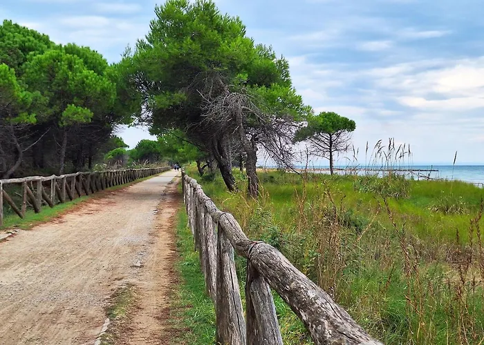Apartment With Shared Pool For 4 Guests Bibione