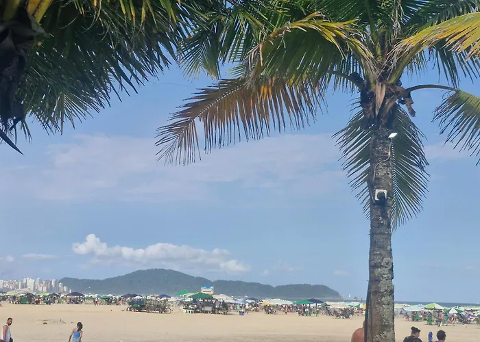 Kitnet Linda A 250M Da Praia Em Praia Grandesp