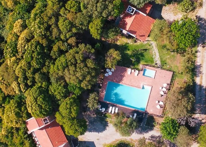 Cabanas Del Bosque Merlo