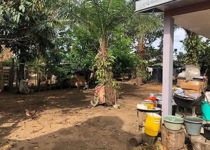 La Petite Ferme D Edith Kribi