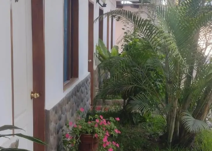 Punto Sur Lodge - Chincha Chincha Alta