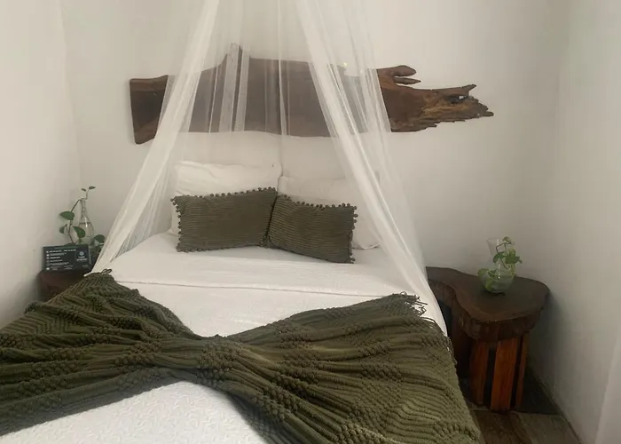 Hotel Casa Borush By Ecoplaneta Cancún
