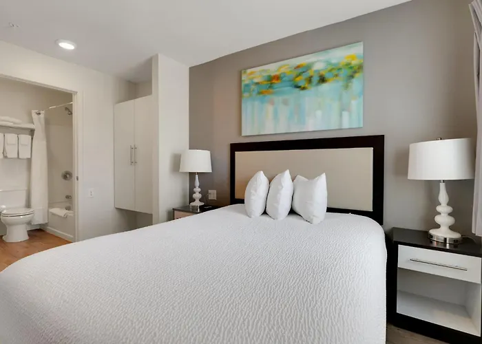 Simplicity 1306 I Comfy & Modern 2Bd Apt! San Antonio