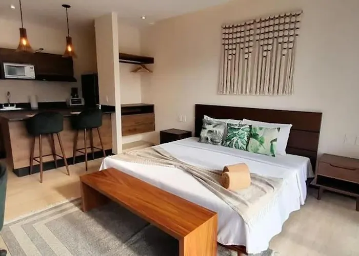 Master King Suite With Common Rooftop Pool Gym Wfi Tulum