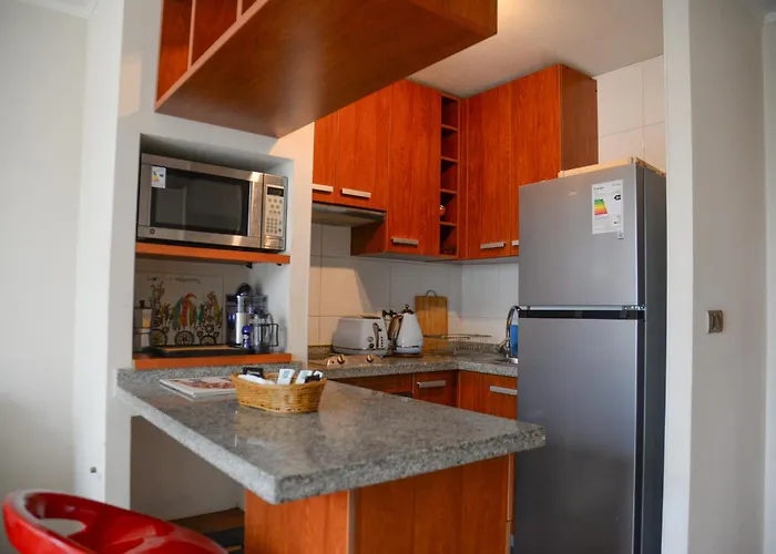 Hermoso Departamento A Pasos De Udec Concepción