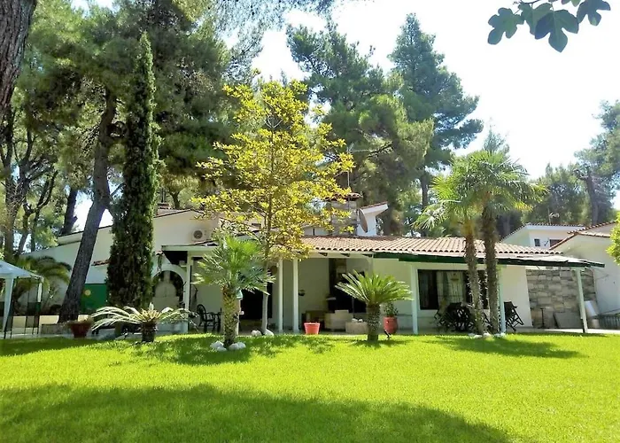 Sani Villa Suave With Pool