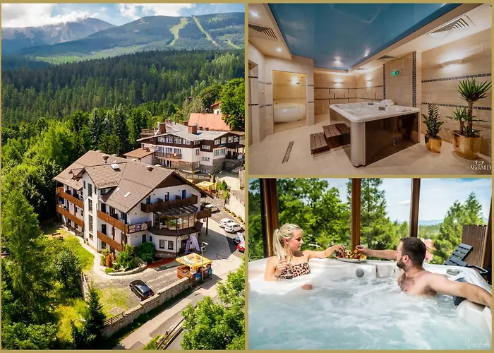 Karpacki & Spa - Blisko Wyciagu, Restauracja, Sala Zabaw, Bar 24H (Adults Only) Karpacz