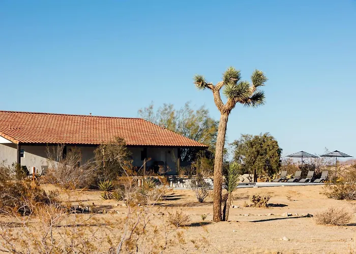 Sunflower Soul Ranch Joshua Tree