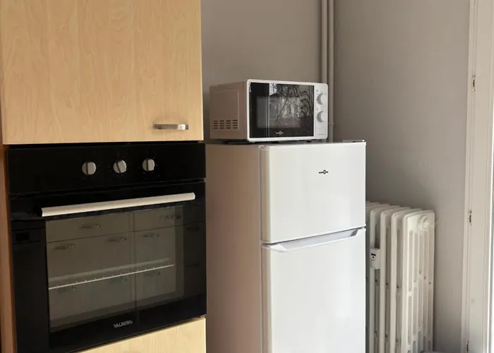 Grand Appartement Centre Ville Mülhausen