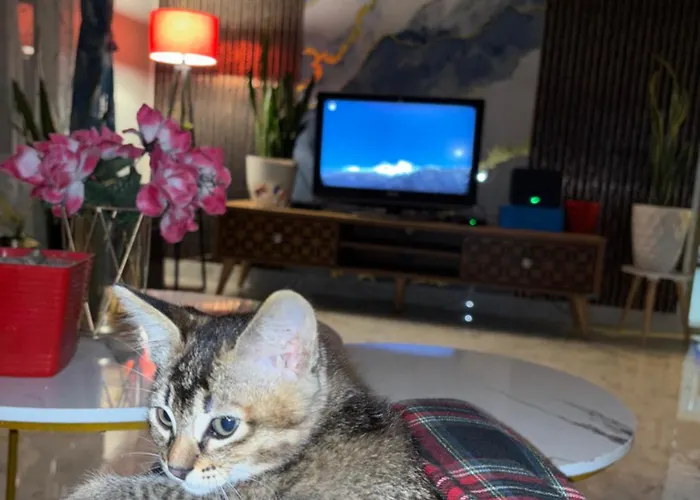 Lhasa Homestay Darjeeling 