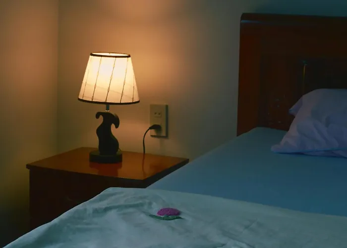 Dong Luu Homestay Đà Lạt