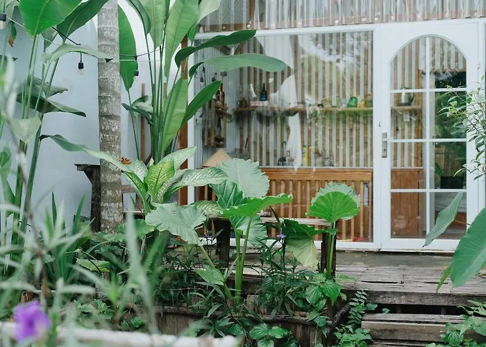 House With Flowers, Beautiful Sunshine, Geese And Birds Cần Thơ