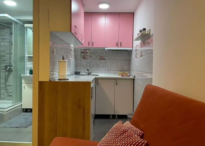 Central Duplex Apartment Belgrad