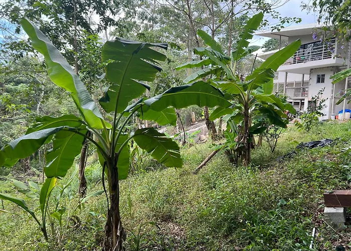 Hotel Pura Vida Jungle Retreat - Montezuma