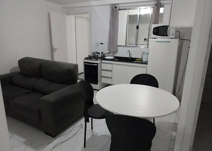 Apartamento Na Zona Norte Sp Com 02 Quartos Mobiliado São Paulo
