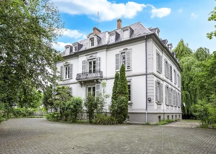 Spacieux Studio, Maison De Maitre, Parking Prive Sur Place, Mulhouse Centre