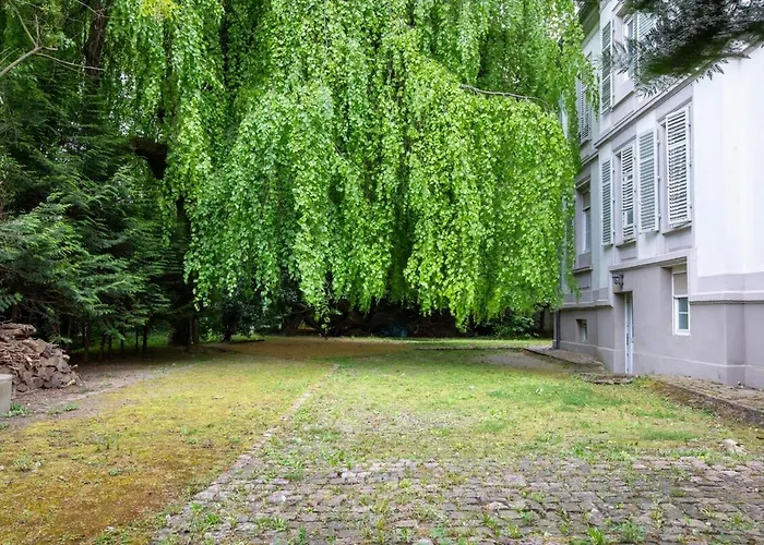 Spacieux Studio, Maison De Maitre, Parking Prive Sur Place, Mulhouse Centre