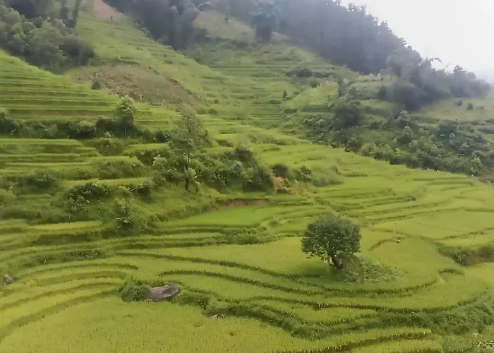 Ta Phin Stone Mountain Homestay Sapa