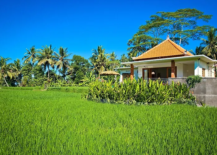 Romantic Villa In Ubud Private Pooll And Rice Fields View
