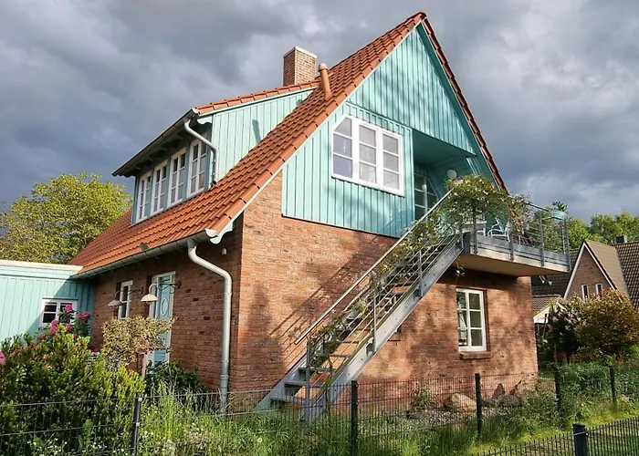 Nixe Kamin Kamin Sauna Haustier Börgerende-Rethwisch