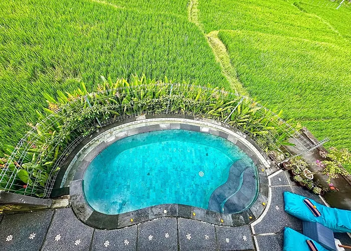 Romantic Villa In Ubud Private Pooll And Rice Fields View