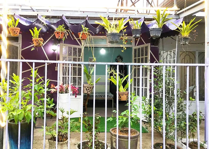Green Leaf House - Homestay In Đà Lạt