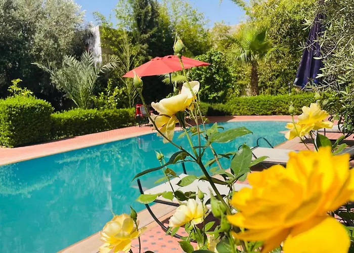 Villa Msholidays 3 Palmiers Avec Piscine Marrakech Marrakesch