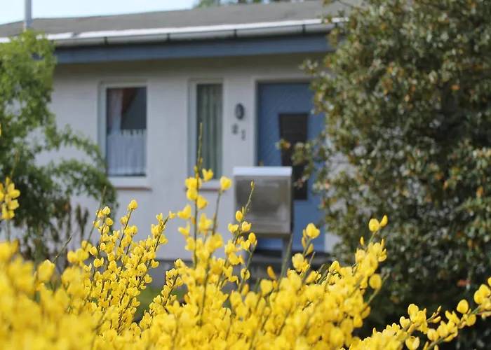 Ruhiges Ferienhaus In Zingst Urlaub Nahe Am Strand