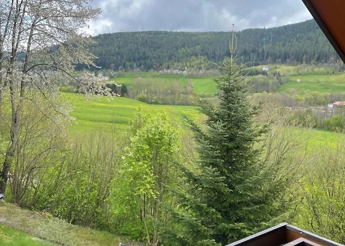 Ferienwohnung Im Tannenblick Baiersbronn