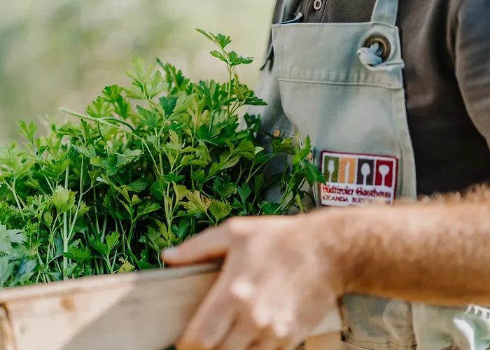 Hotel&Gasthof zum Hirschen Jenesien