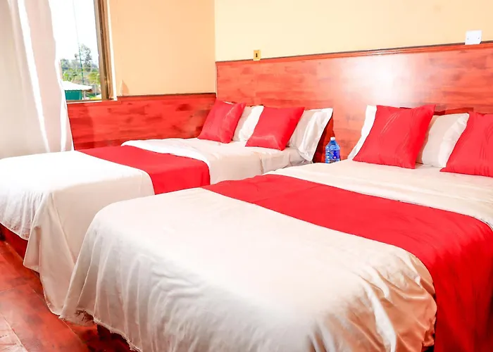 Karura Forest Studio Apartments Nairobi