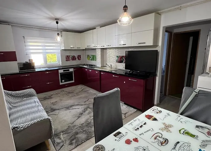 Smart Apartment 2 Rooms Timişoara