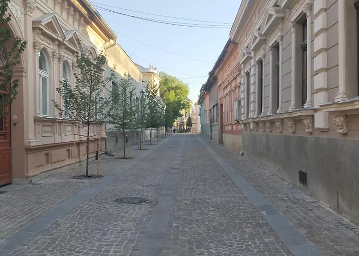 Ferienwohnung Golden Crib Novi Sad