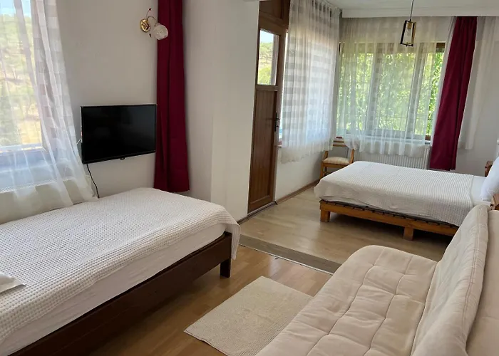 Guenebakan Taliani Otel Ayvalı