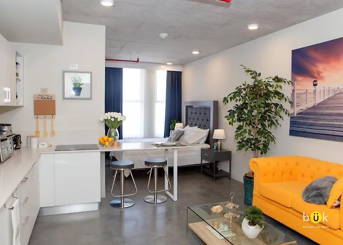 Cozy New Studio Excellent Location San José
