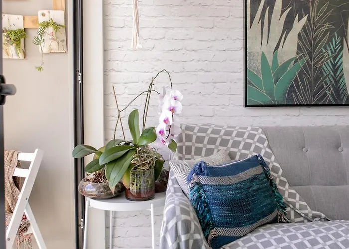 Art And Style Wonderful Space For A Couple San José