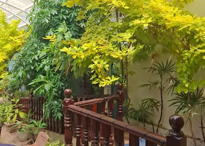 New Sea Joy Guest House Negombo