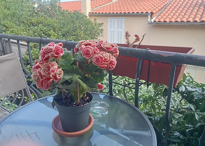 Family Villa 10 Minutes From Nice Beaches