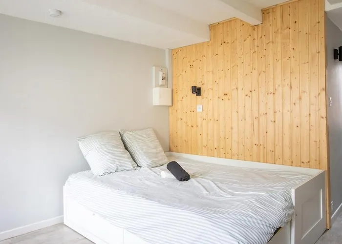 N1 Deluxe Bright Studio, Renovated, Free Parking, Mulhouse Centre