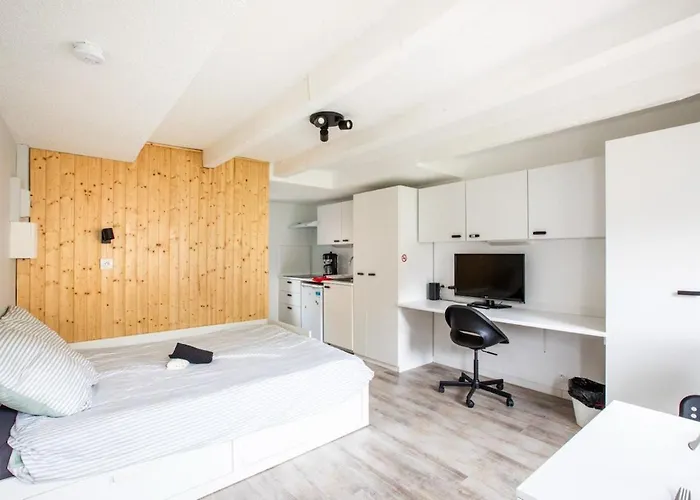 N1 Deluxe Bright Studio, Renovated, Free Parking, Mulhouse Centre